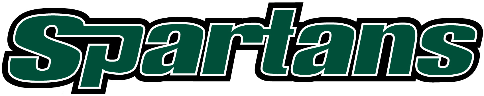 USC Upstate Spartans 2003-2010 Wordmark Logo iron on transfers for clothing